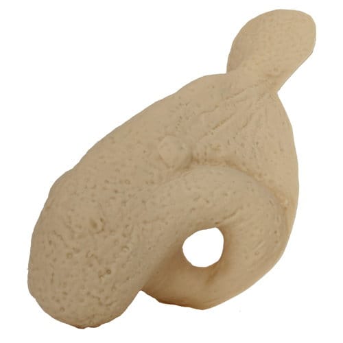 Nosový troll Nosový troll