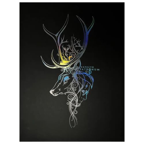 Obraz Harry Potter - Patrón Obraz Harry Potter - Patrón