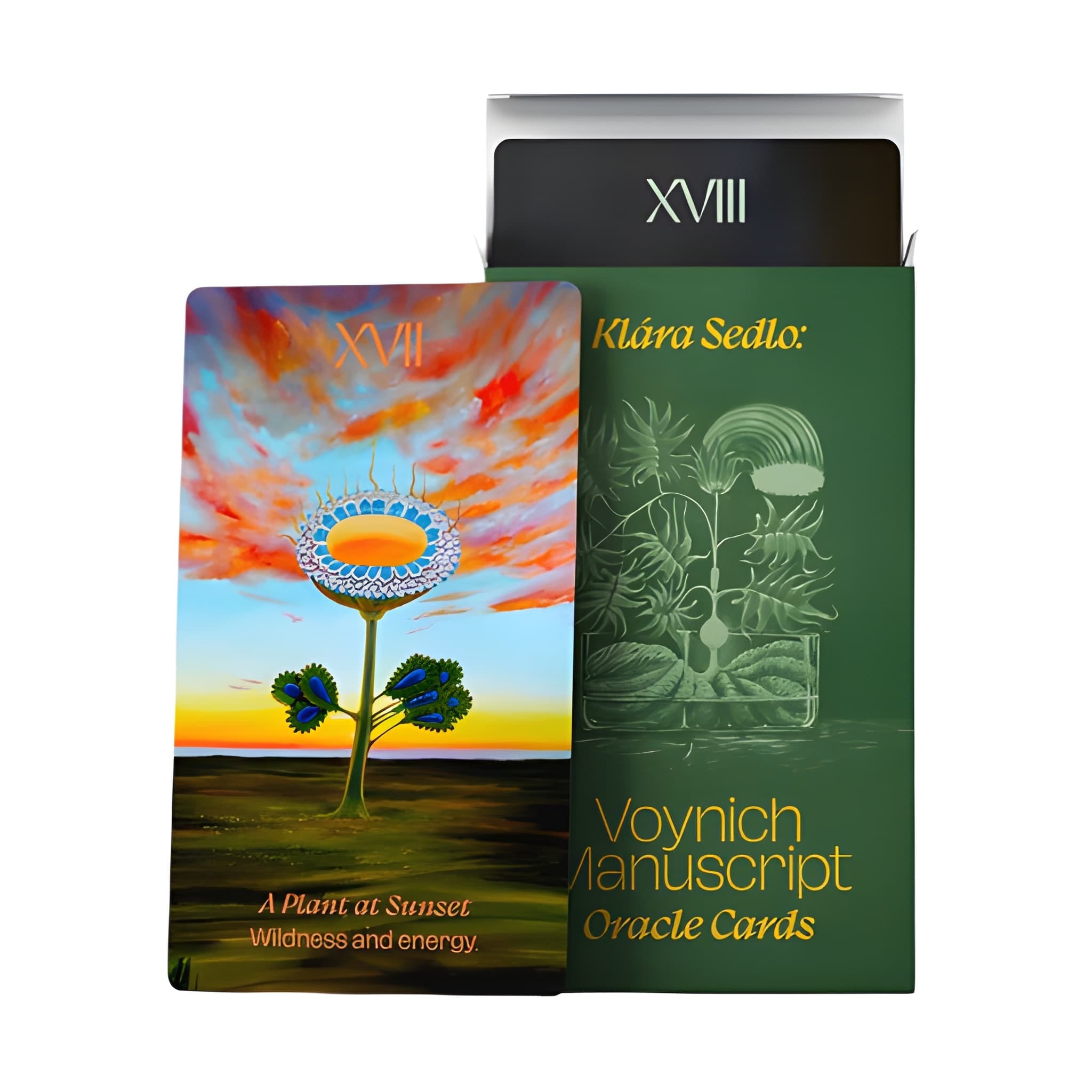 Orákulum podle Voynichova rukopisu