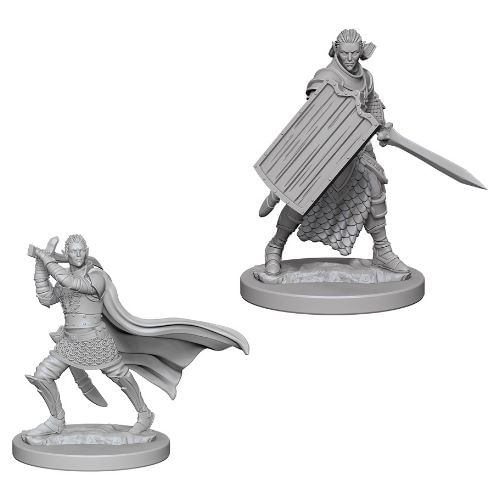 Pathfinder Battles: Deep Cuts Miniatures - Elf Male Paladin Pathfinder Battles: Deep Cuts Miniatures - Elf Male Paladin