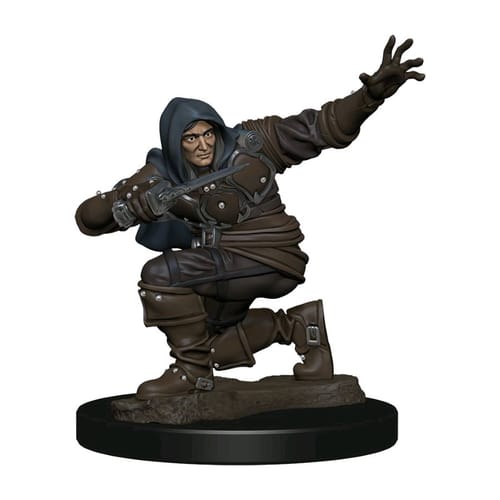 Pathfinder Battles: Premium Painted Figure - Human Rogue Male Pathfinder Battles: Premium Painted Figure - Human Rogue Male