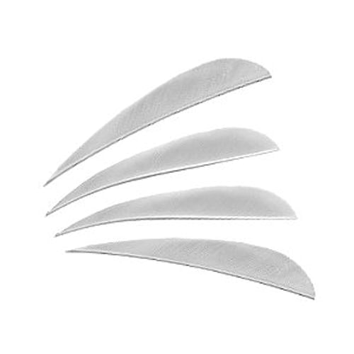 Perové letky Perové letky