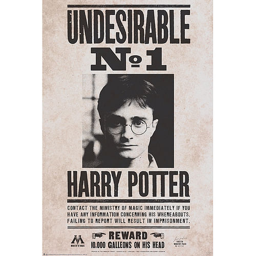 Plakát Harry Potter - Undesirable n°1