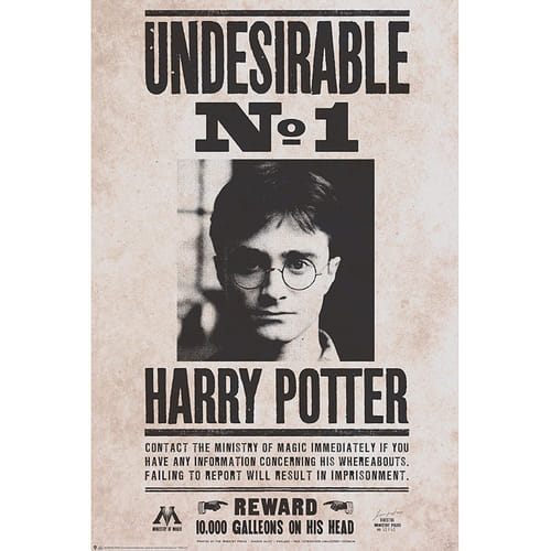 Levně Plakát Harry Potter - Undesirable n°1