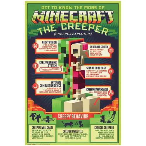 Levně Plakát Minecraft - Anatomie Creepera