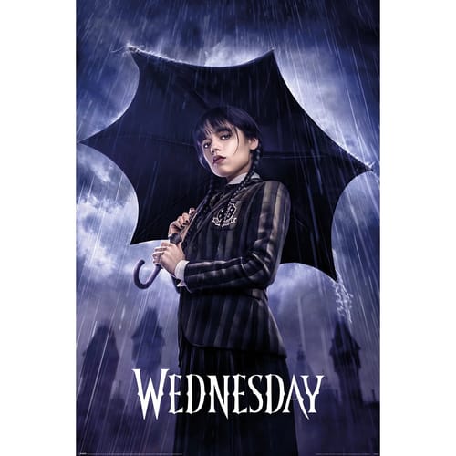 Levně Plakát Wednesday - Downpour
