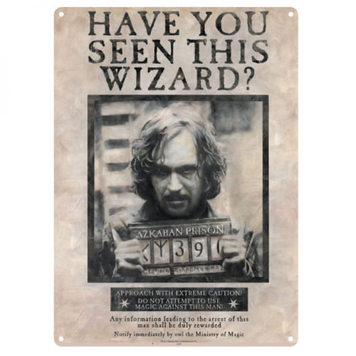 Tabuľka na stenu - Have You Seen This Wizard Tabuľka na stenu - Have You Seen This Wizard
