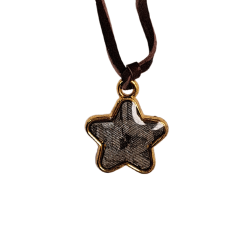 Prívesok meteorit Aletai - Hviezda Prívesok meteorit Aletai - Hviezda