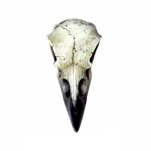 Prívesok Starobylá havraní lebka Prívesok Starobylá havraní lebka