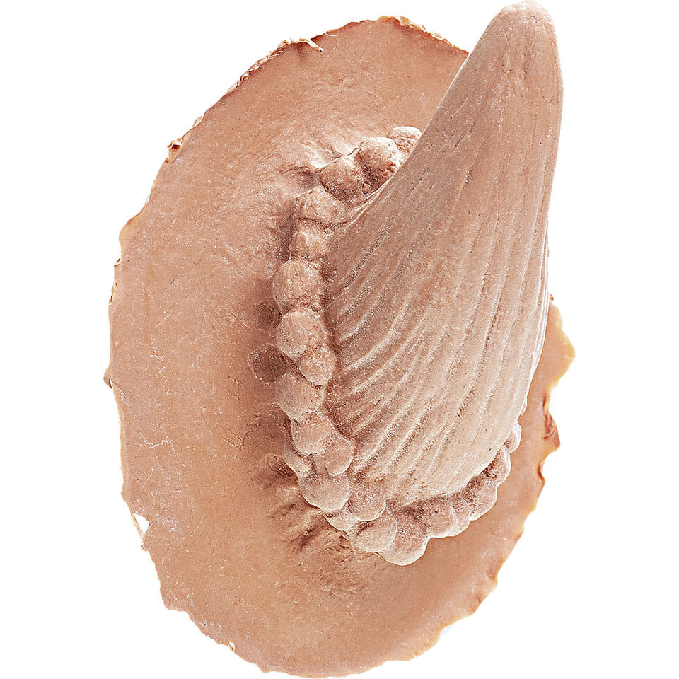 Rohy diabol - latexové