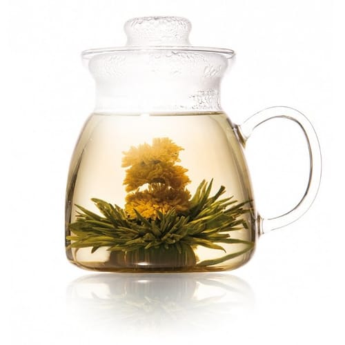 Kvitnúca čajová sada Evergreens s čajníkom Kvitnúca čajová sada Evergreens s čajníkom