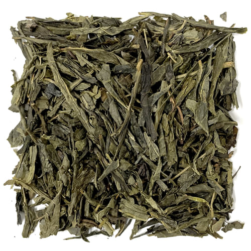Sencha Vanilla Sencha Vanilla