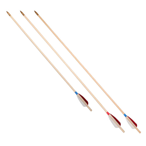 Levně imago Šíp dřevěný - péřové letky, délka 60 cm
