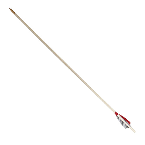 Šípka drevená - perie, kotlo Šípka drevená - perie, kotlo