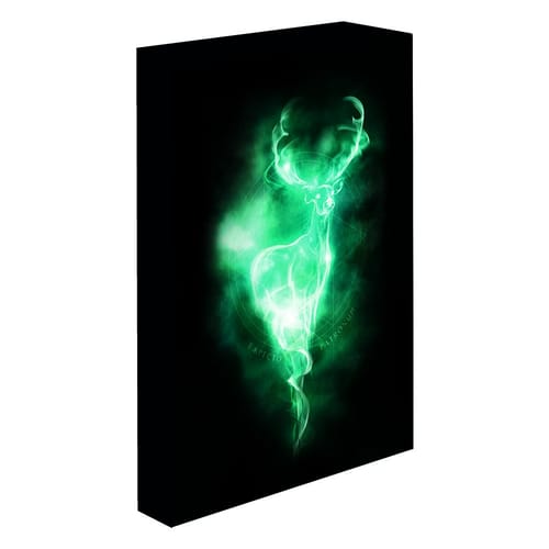 Levně Svítící obraz Harry Potter - Patronus