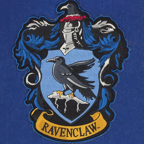 Obrázok Distrineo Banner Harry Potter - Ravenclaw/Bystrohlav