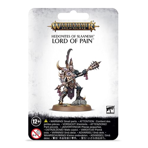 Warhammer Age of Sigmar: Lord of Pain