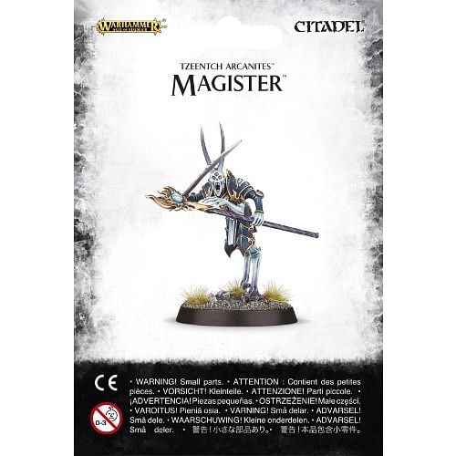 Warhammer Age of Sigmar: Tzeentch Arcanites - Magister