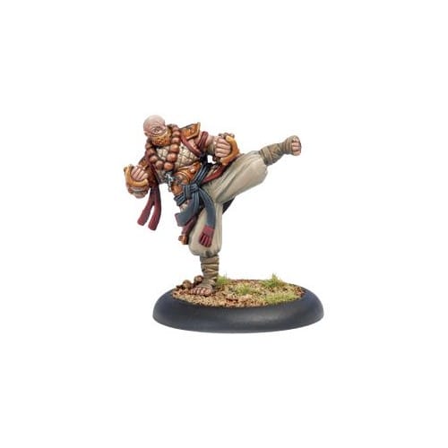 Warmachine: Protectorate - Allegiant of the Order of the Fist Warmachine: Protectorate - Allegiant of the Order of the Fist