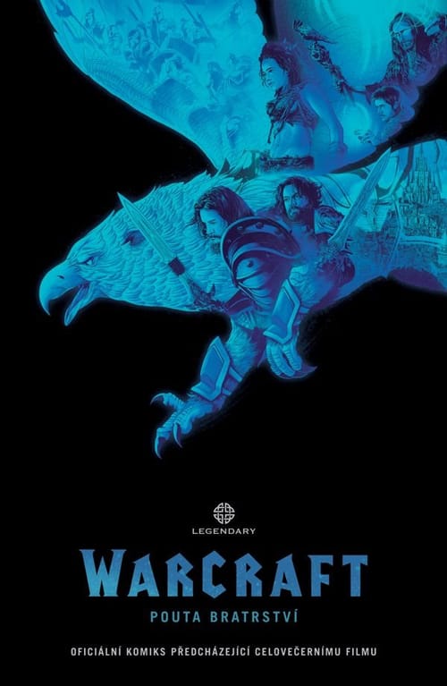 Levně World of Warcraft: Pouta Bratrství