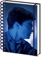 Zápisník Harryho Pottera - Magický portrét 3D