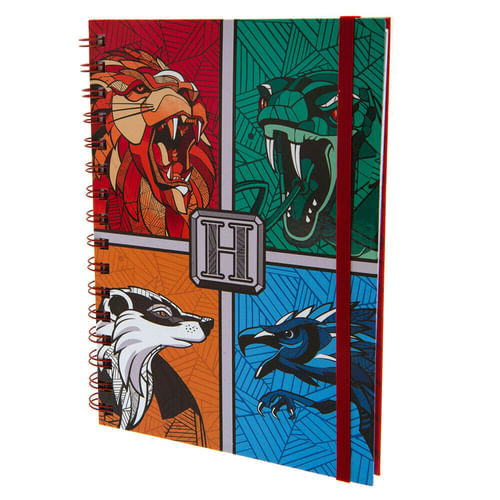 Zápisník Harry Potter - Stand Together Zápisník Harry Potter - Stand Together