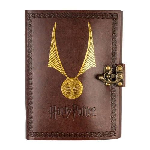 Levně Zápisník Harry Potter - Zlatonka