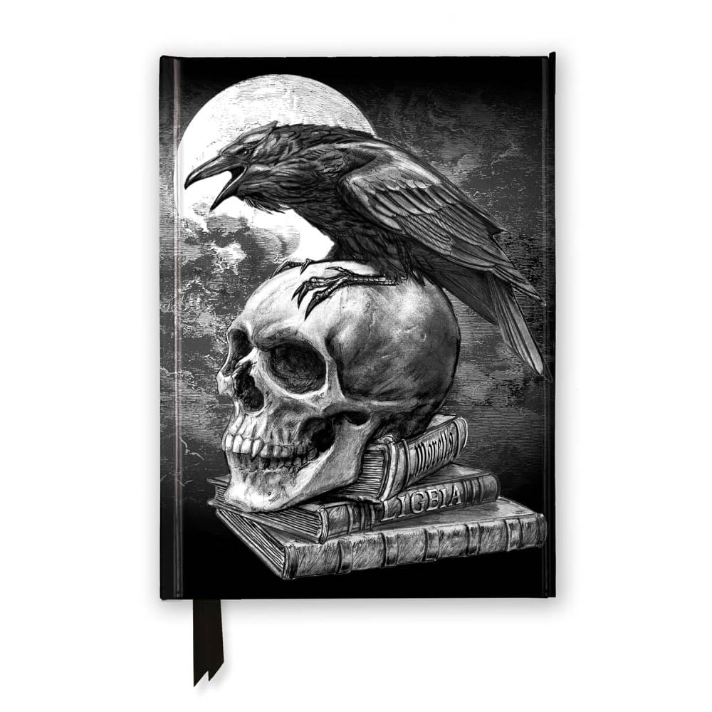 Zápisník Poeov havran